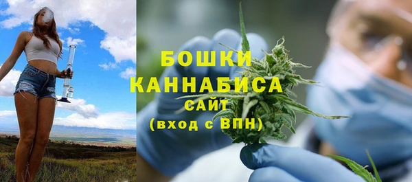 гидра Ельня
