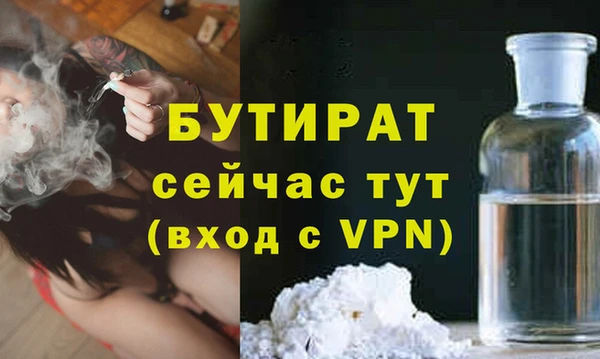гидра Ельня