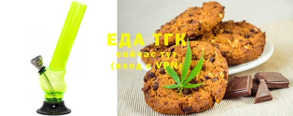 гидра Ельня