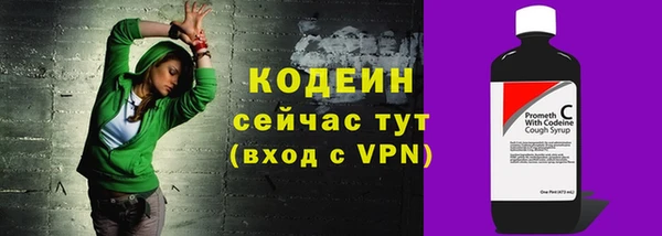 гидра Ельня