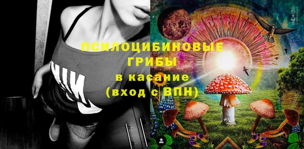 гидра Ельня