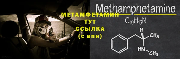гидра Ельня