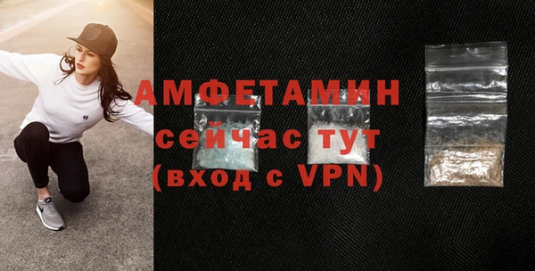 гидра Ельня