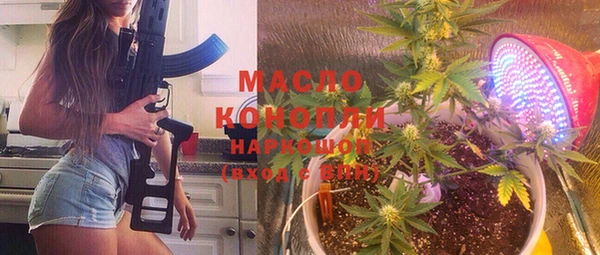 гидра Ельня