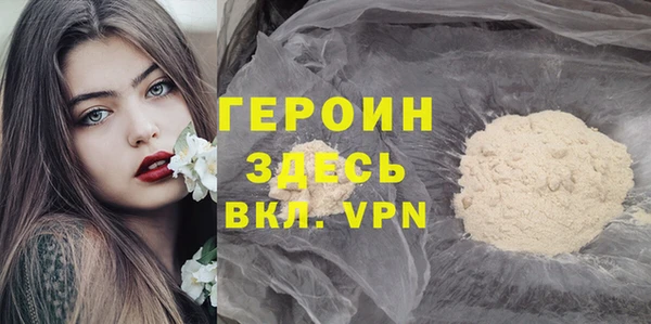 гидра Ельня