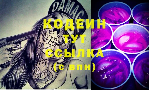 гидра Ельня