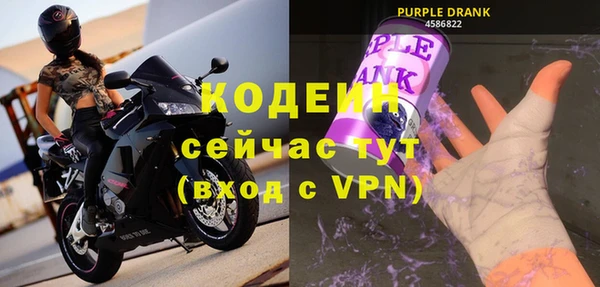 гидра Ельня