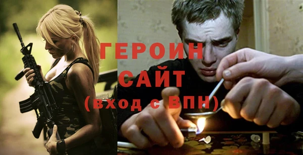 гидра Ельня